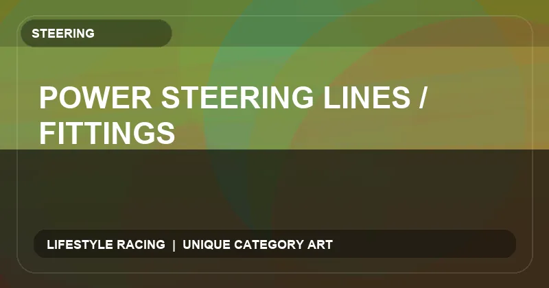 Power Steering Lines / Fittings